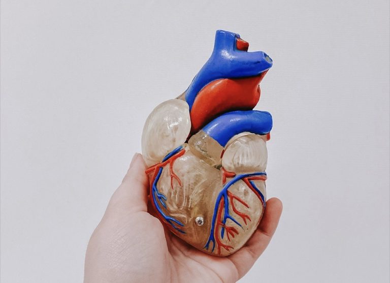 DÍA MUNDIAL DEL CORAZÓN: PEQUEÑOS HÁBITOS PUEDEN MARCAR LA SALUD CARDIOVASCULAR